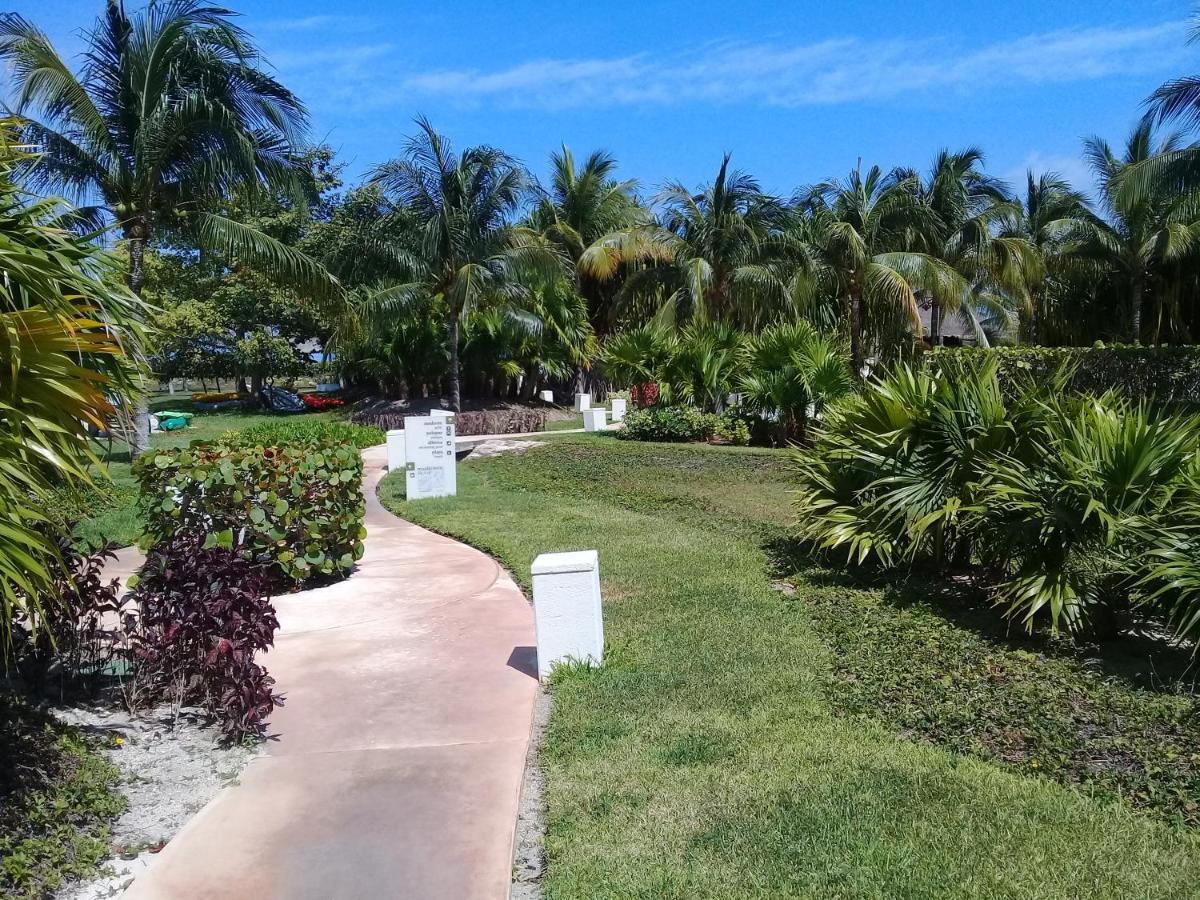 דירות קנקון Swim The Caribbean & Work With A View מראה חיצוני תמונה