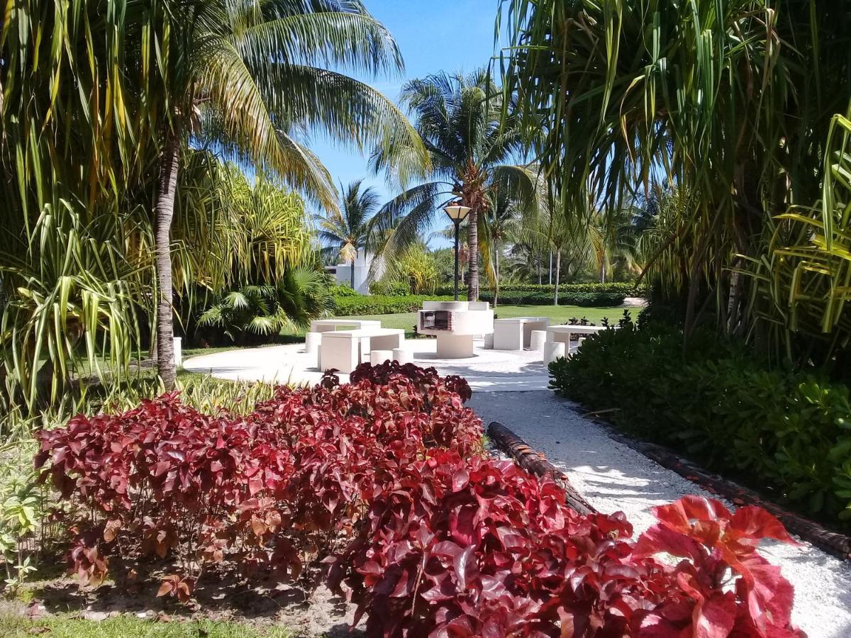 דירות קנקון Swim The Caribbean & Work With A View מראה חיצוני תמונה