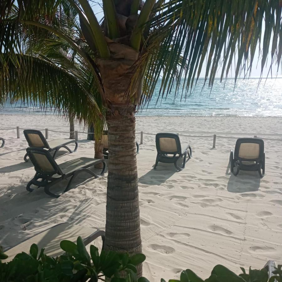 דירות קנקון Swim The Caribbean & Work With A View מראה חיצוני תמונה